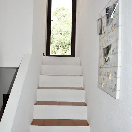 Domus Moon With Sea View Apartment *
